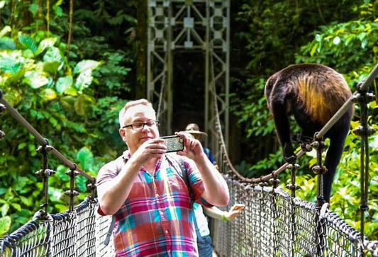 Mistico Hanging Bridges | Naturalist-Guided