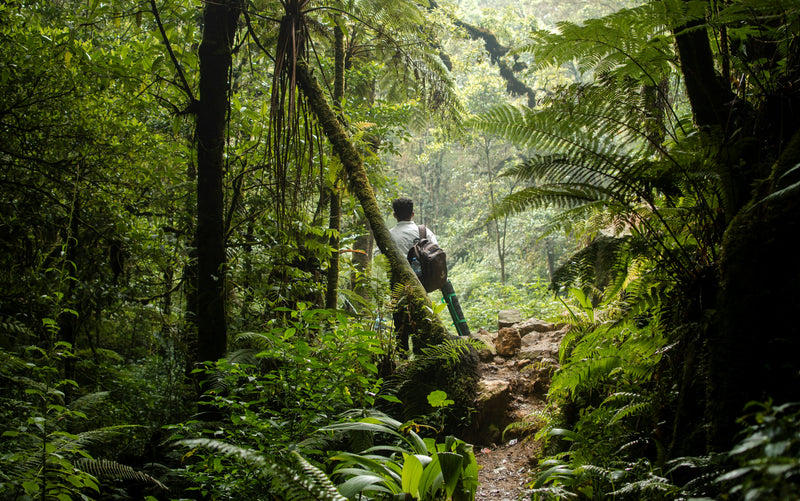 Jungle Trekking & Culture Experience (min 2 pax)