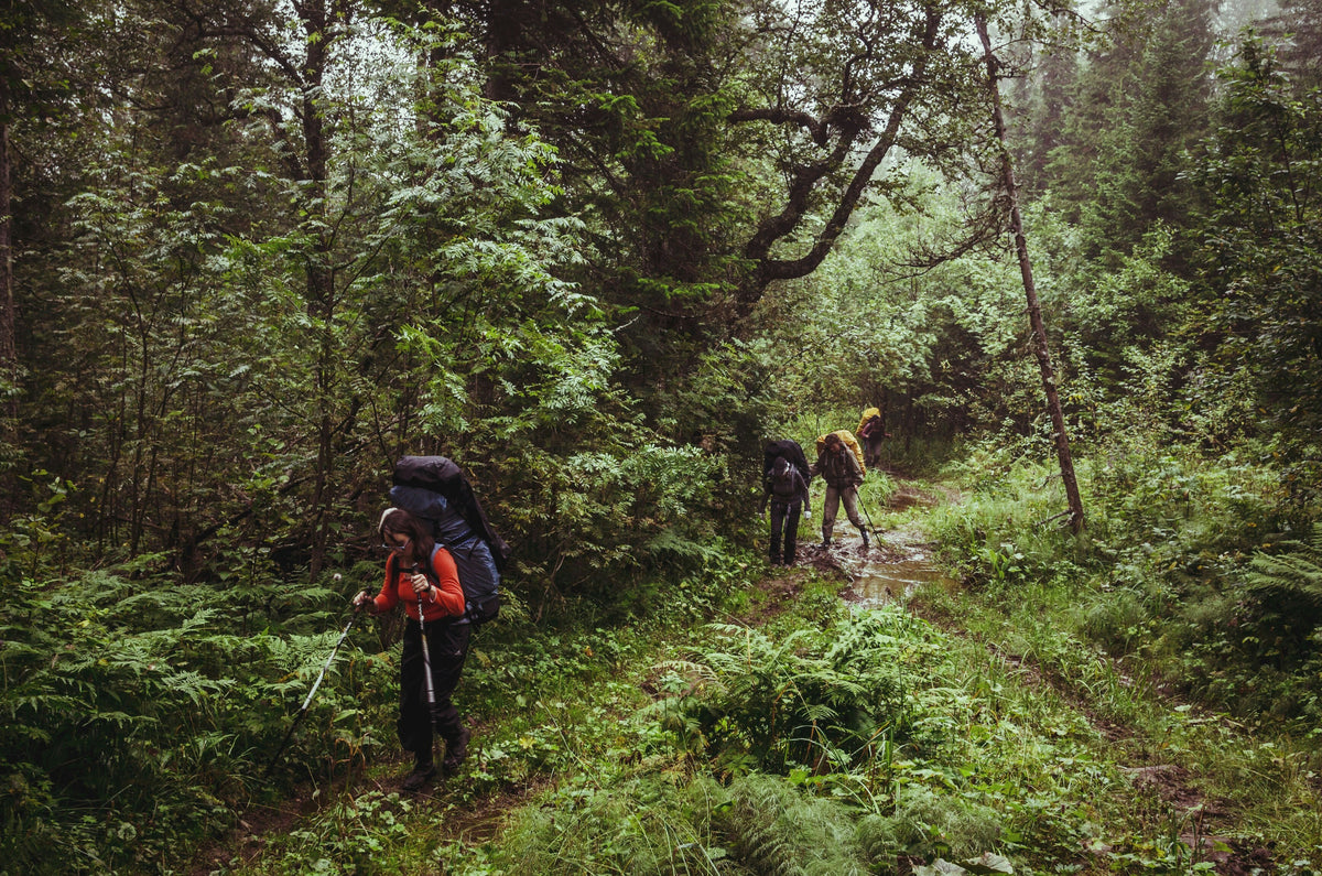 Jungle Trekking & Culture Experience (min 2 pax)