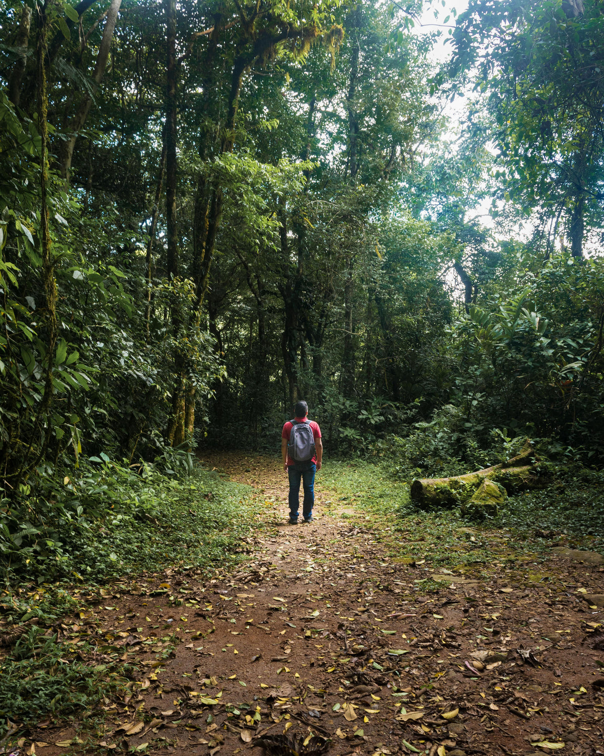 Rio Celeste Hike