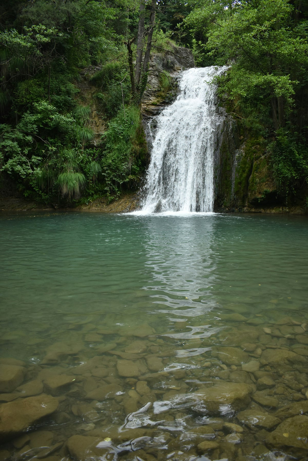 Jungle Trekking & Culture Experience (min 2 pax)